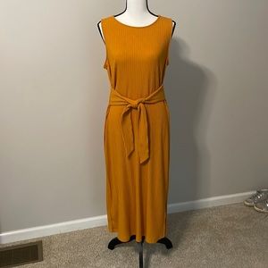 NWOT THE LOFT MAXI DRESS